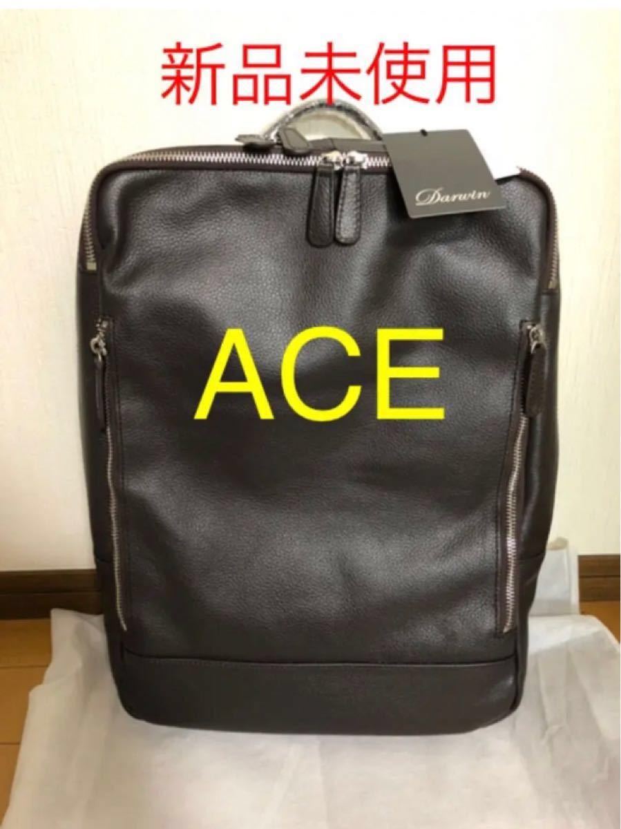 ACE エース ダーウィン 本革 レザーリュック ビジネスリュック ACE エース ダーウィン 本革 レザーリュック ビジネスリュック