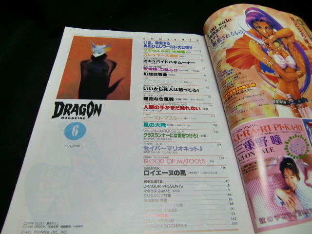 月刊ドラゴンマガジン1995年6月号　　35628_画像4