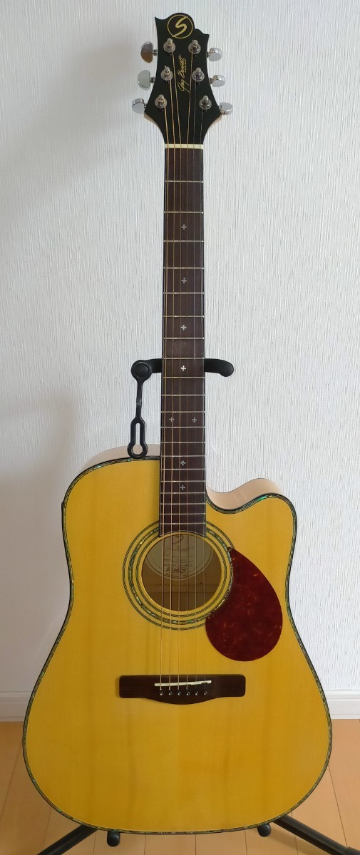☆低弦高 アコースティックギター グレッグベネット D-9CE 楽器、器材