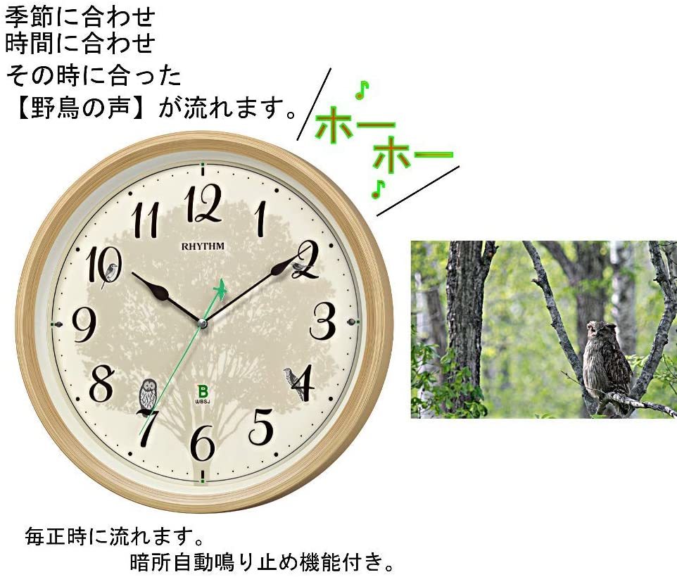野鳥の時計