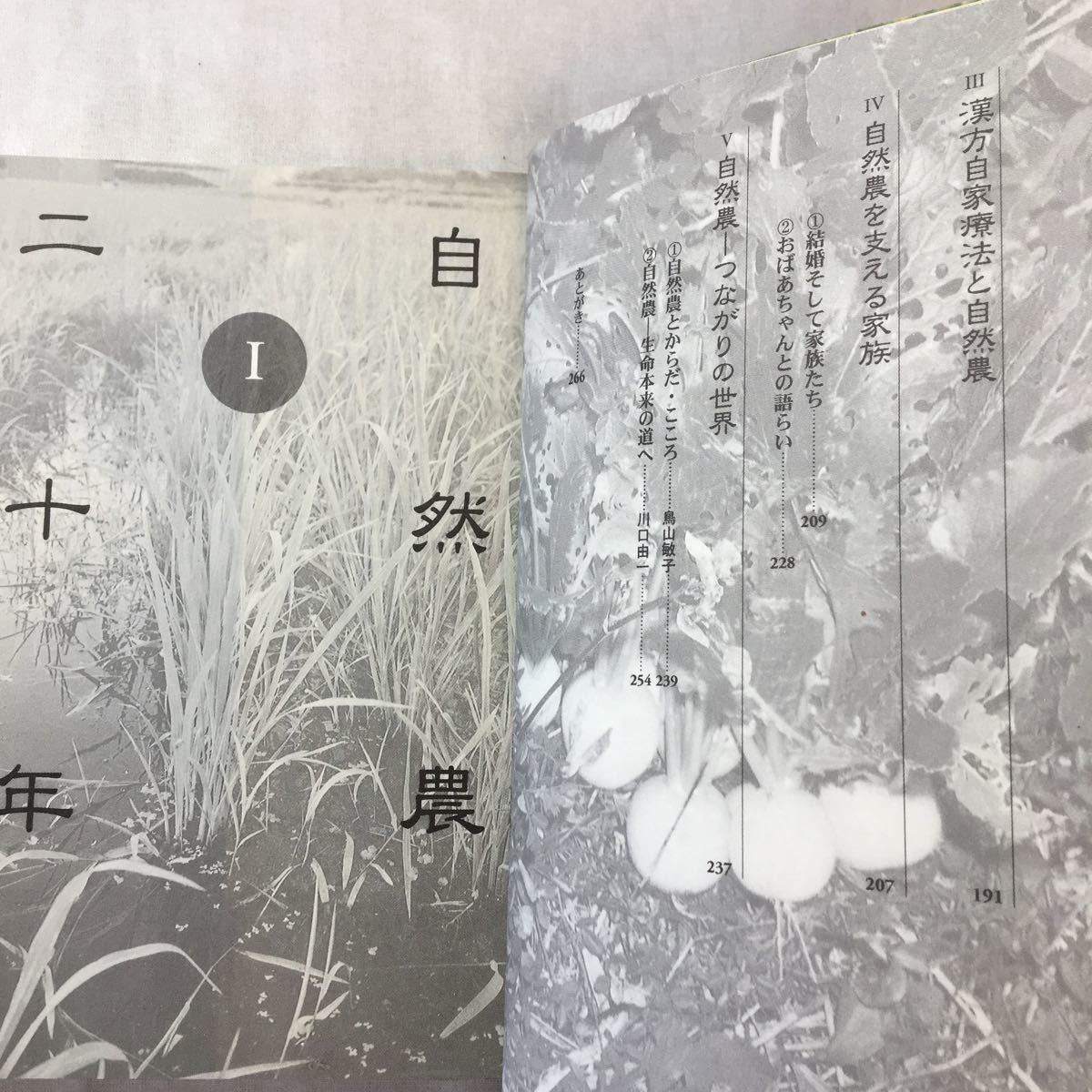 zaa-366♪自然農―川口由一の世界 耕さず、肥料、農薬を用いず、草や虫を敵とせず… 単行本 2000/4/1 川口 由一 (著), 鳥山 敏子 (著)_画像3