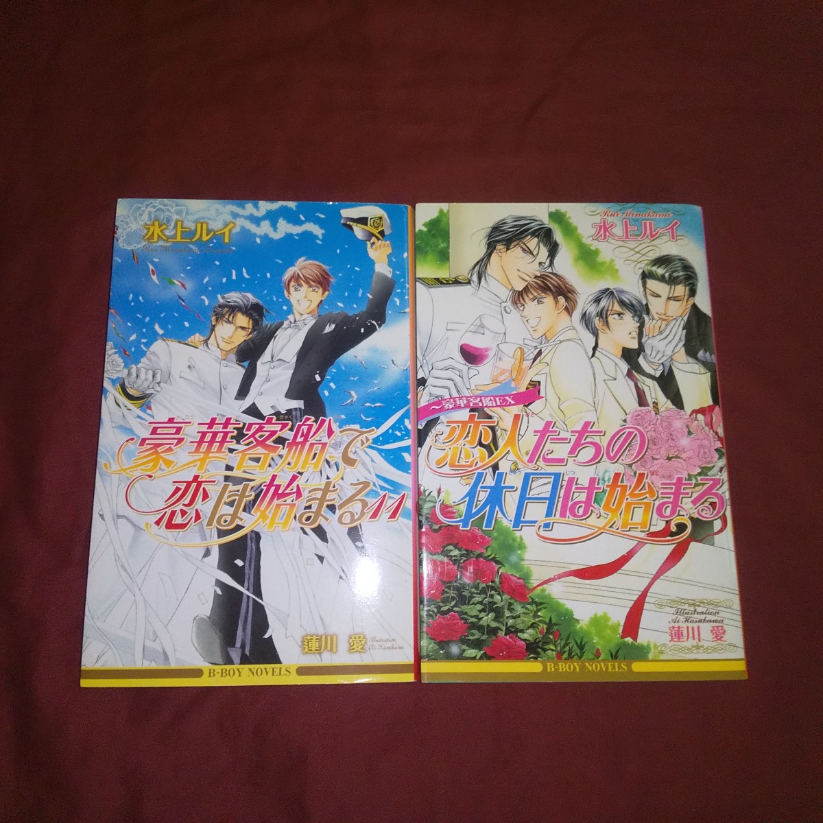 BL 小説 水上ルイ 蓮川愛 恋人たちの休日は始まる 豪華客船ＥＸ