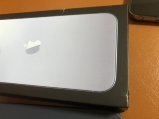 送料無料】Apple iPhone 13 Pro Max 512GB シエラブルー 海外版 香港版