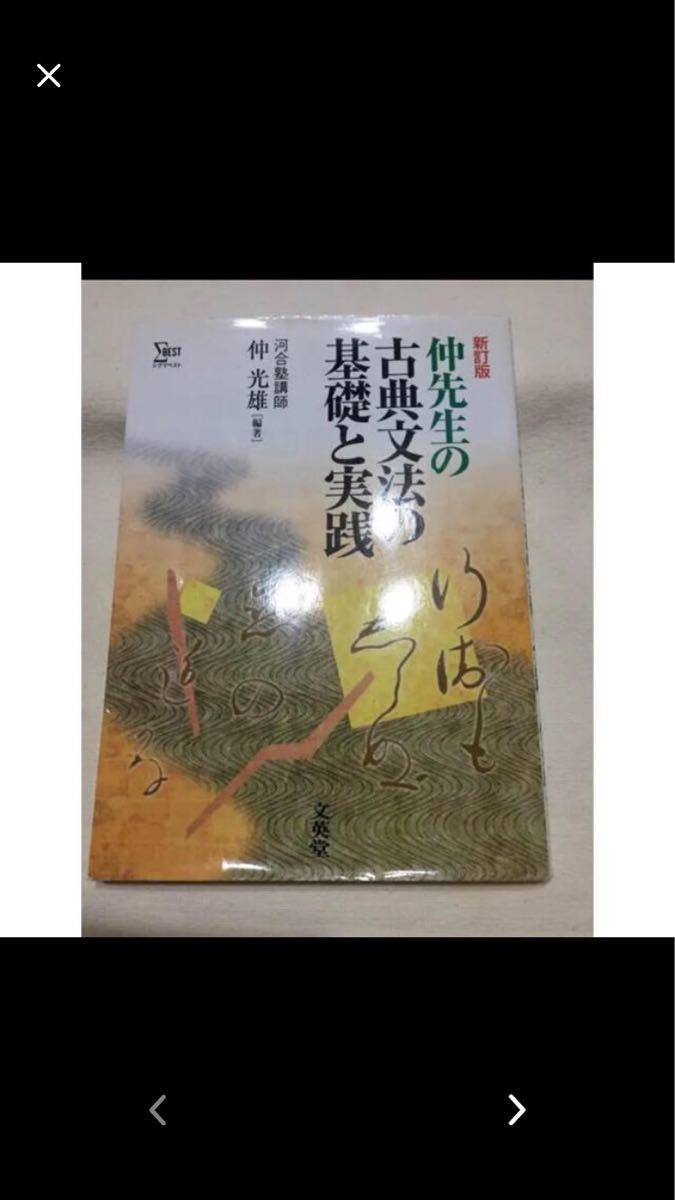 仲先生の古典文法 基礎と実践 古文 河合塾講師 問題集
