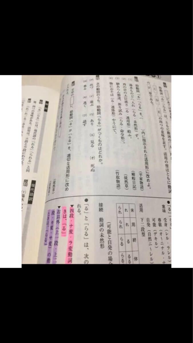 仲先生の古典文法 基礎と実践 古文 河合塾講師 問題集