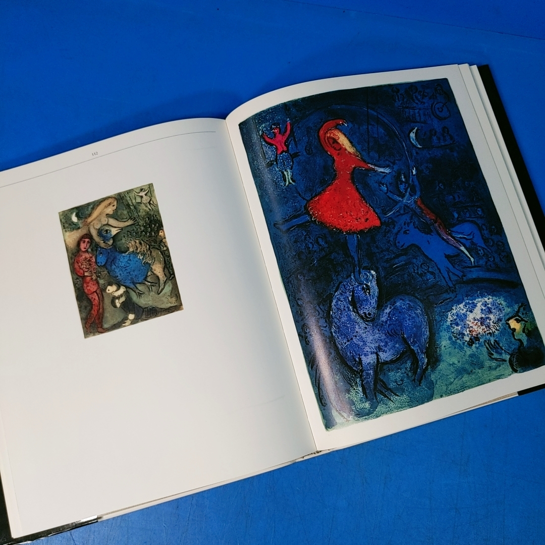 マルク シャガール 挿絵本カタログレゾネ 1990 Marc Chagall the 