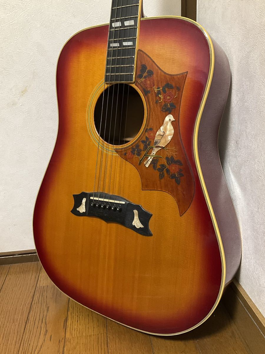 Jagard ジャガード アコースティックギター JD35S 350 Hand made