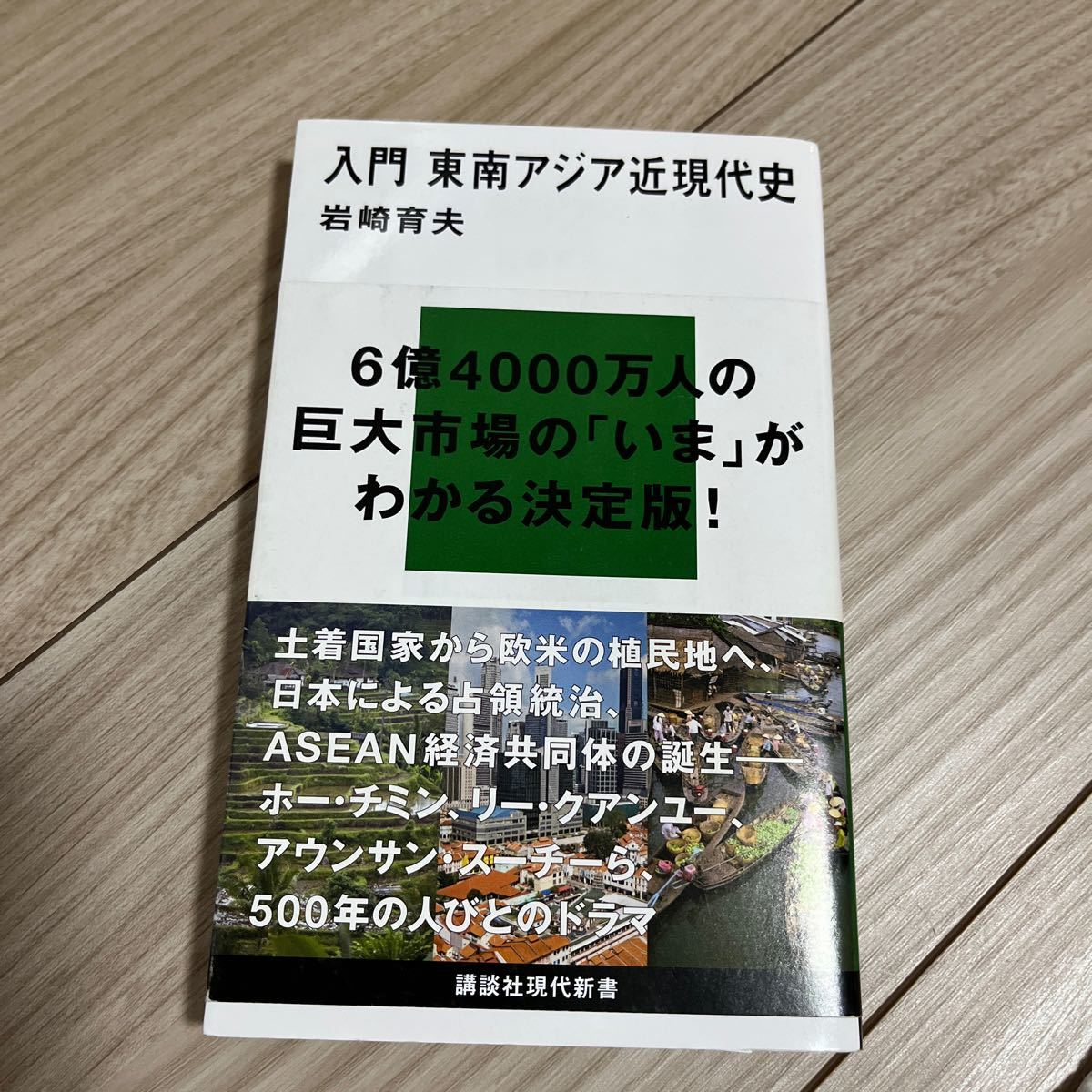 入門東南アジア近現代史 （講談社現代新書　２４１０） 岩崎育夫／著