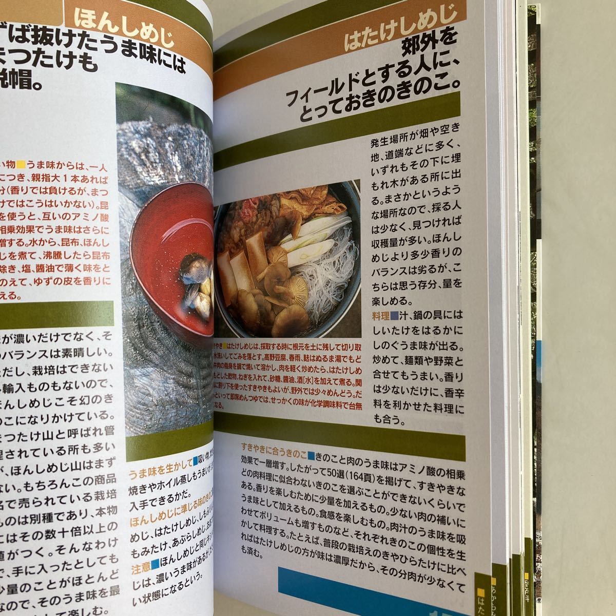 ◆送料無料◆ 野山のテーブル 料理写真200点 野外料理 フィールドキッチンノート 落合慎一 双葉社 第1刷発行 ♪GM08_画像7