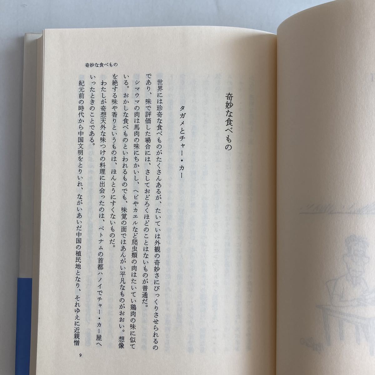 ◇ 食文化 新鮮市場 石毛直道 韓国満腹旅行 日本人とマグロ 青ヶ島の塩辛 ロシア紅茶事情 わが体験的焼酎比較文化論 毎日新聞 帯付 ♪GM88_画像8