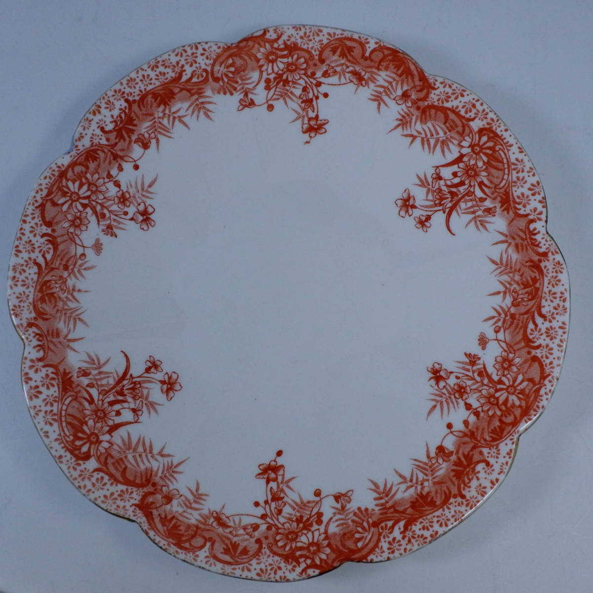  Sherry wai Ла Манш Дэйзи образец plate 23cm Shelley Wileman 5894 THE FOLEY CHINA