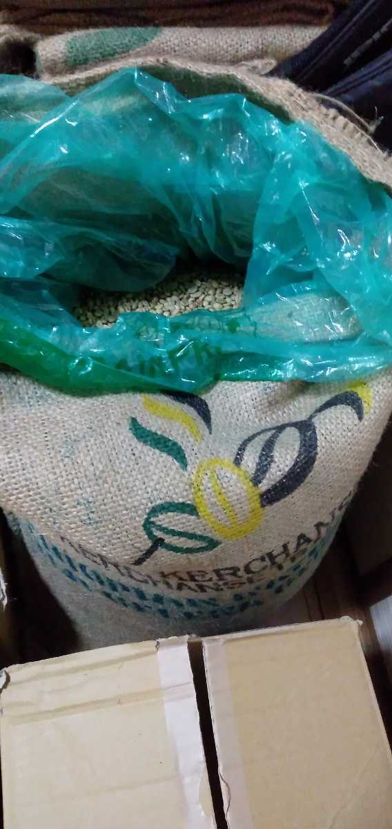 コーヒー豆　エチオピア　ゲレナ農園　モカ　ゲイシャ　G-3 800g ナチュラル　焙煎用生豆_画像3
