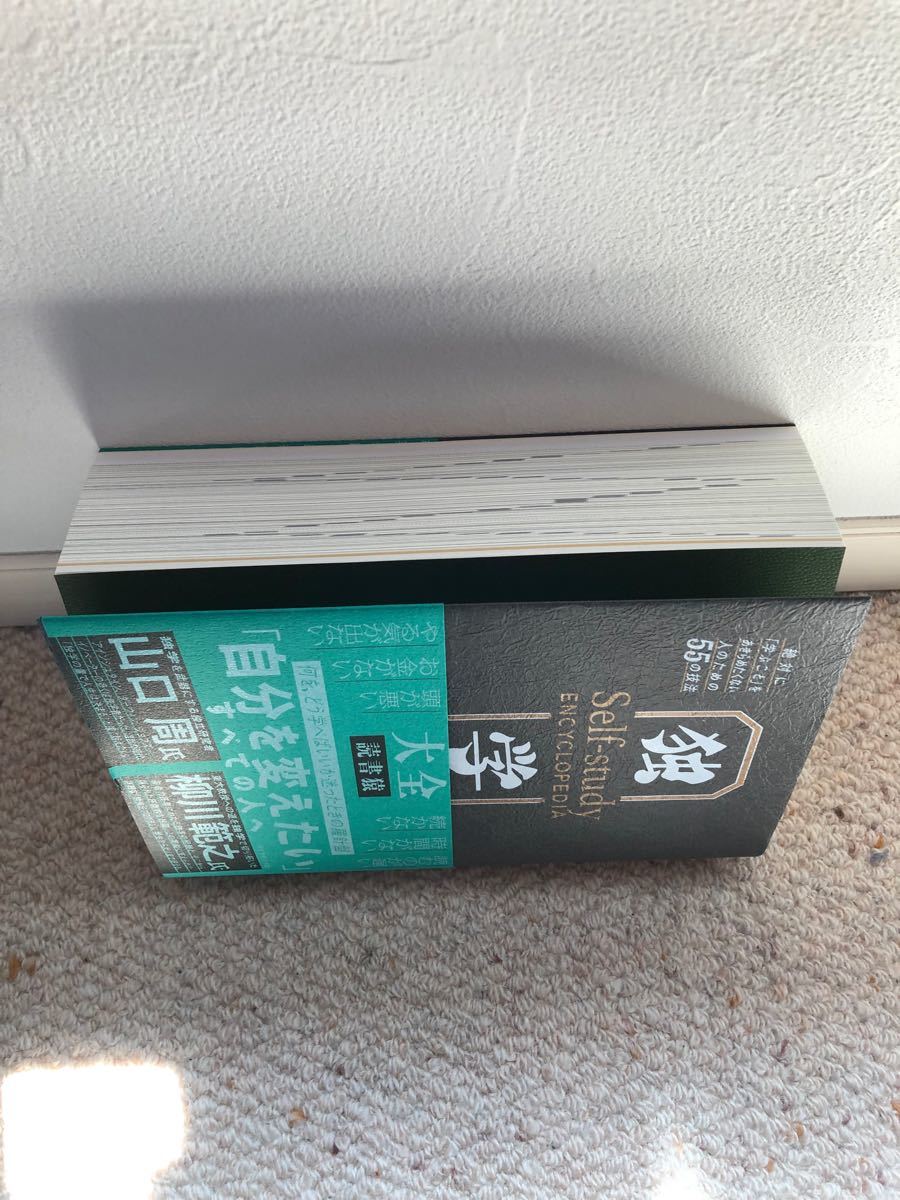 新品未使用　独学大全 絶対に 「学ぶこと」 をあきらめたくない人のための55の技法/読書猿