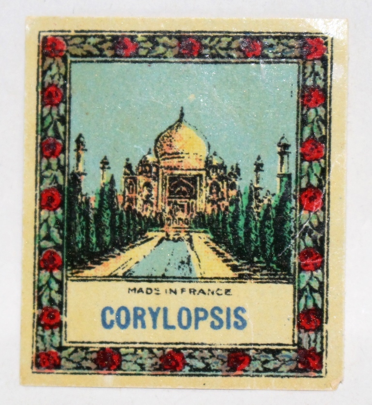  France antique perfume label CORYLOPSIS 1910 year 
