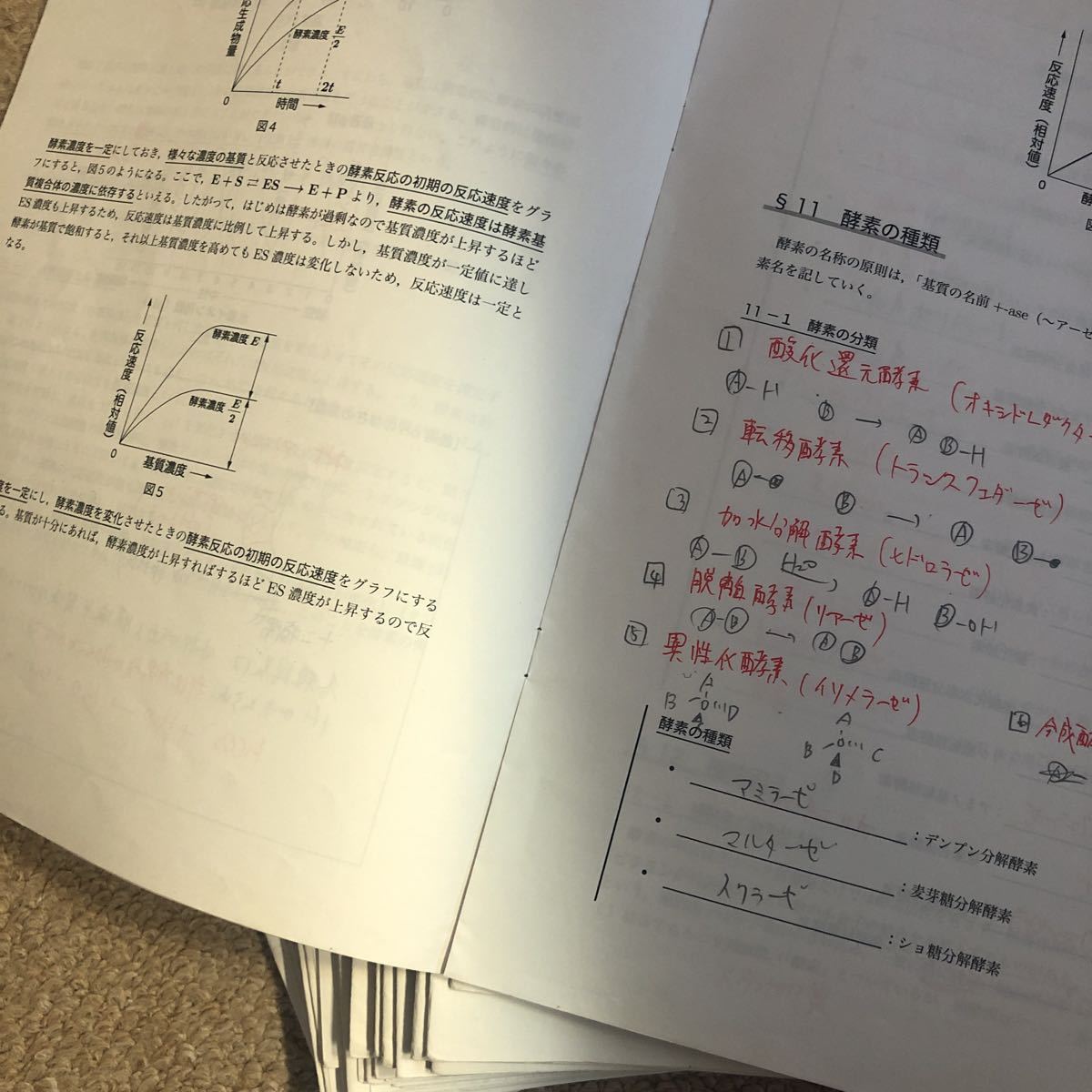 ふるさと割】 鉄緑会 高3生物 生物発展講座 李先生担当クラス講義冊子