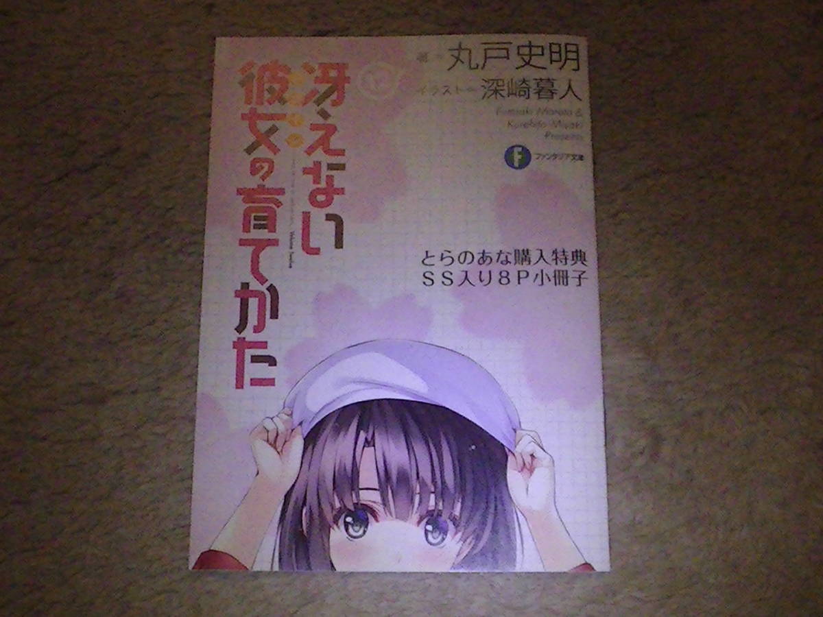 未使用 冴えない彼女の育てかた 12巻 とらのあな特典8P小冊子 丸戸史明 深崎暮人 リーフレット_画像1