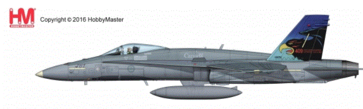 HobbyMaster（ホビーマスター） F/A-18A　カナダ空軍 第409飛行隊 特別塗装 「ナイトメア01」 _画像1