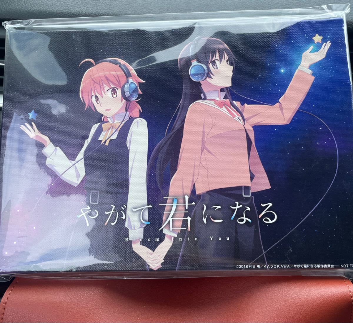 やがて君になる ヘッドフォン特典 キャンバスアート 非売品 やがて君になる 非売品 ヘッドホンなし キャンバスアート