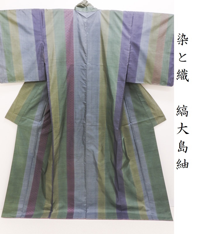 珍しい Club藤☆大島紬 小紋 染めと織り 縦縞 御仕立上り(3184