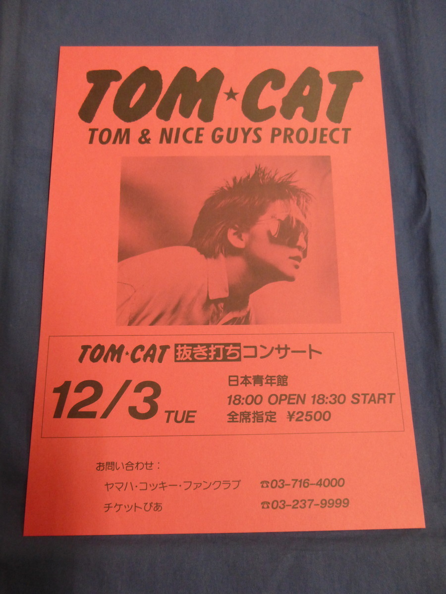 0mc65 рекламная листовка TOM CAT вытащенный удар . концерт 12/3 Япония молодежь павильон TOM & NICE GUYS PROJECT / Tomcat / уведомление 