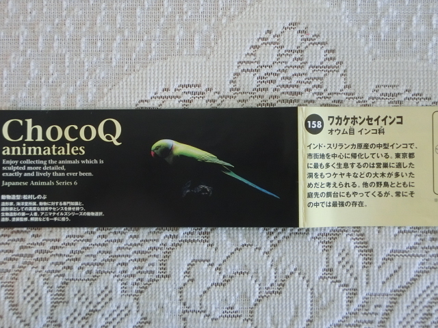 [ Kaiyodo ] шоко Qanima Tales японский животное серии 6 *wakake ho nsei длиннохвостый попугай 158 * шоколадное яйцо TAKARA KAIYODO
