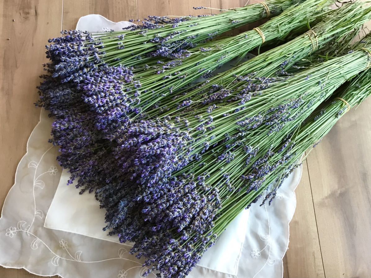 ラベンダー 花粒(花穂)たっぷり大容量100g★ポプリやサシェに★癒やしの香り★匂い袋ハーブティーに！_画像5