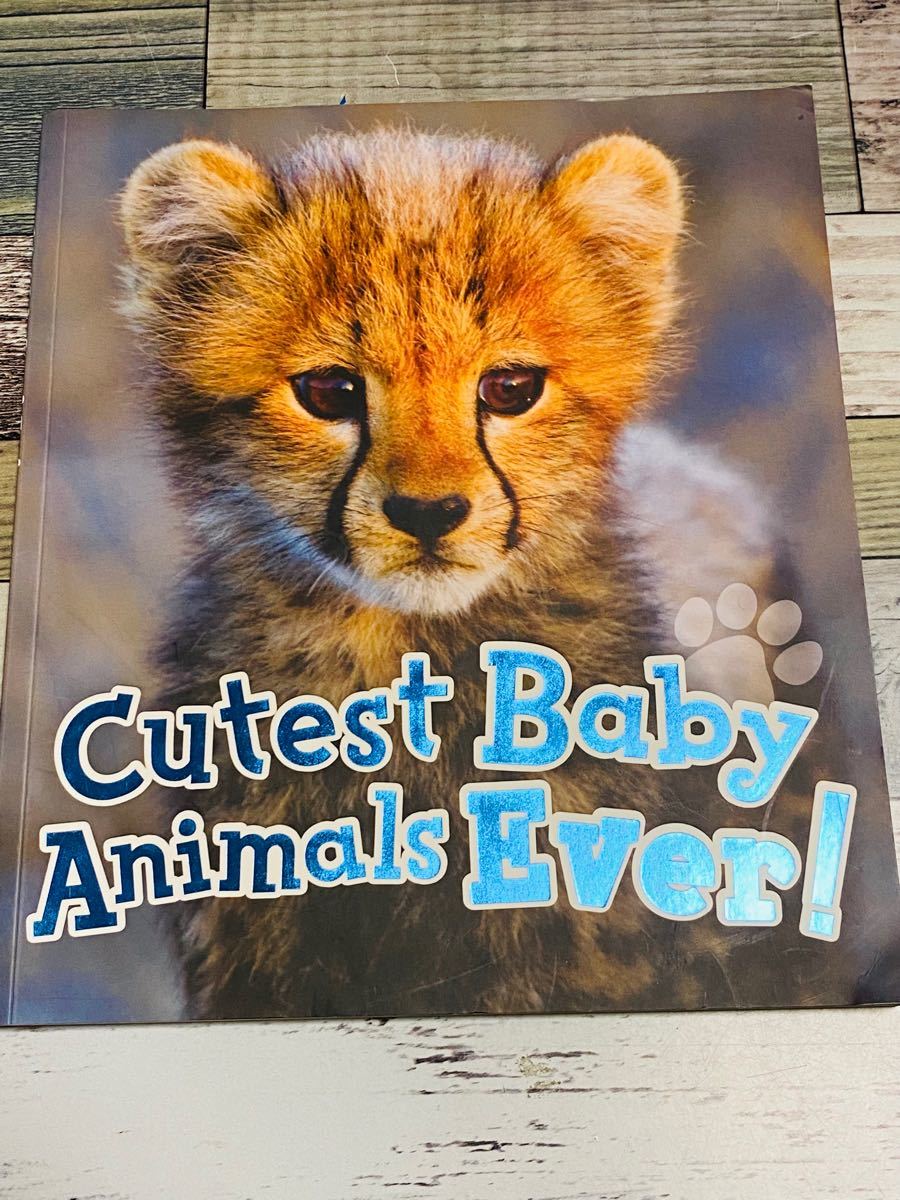 動物 図鑑 事典 英語 洋書 Baby Animals