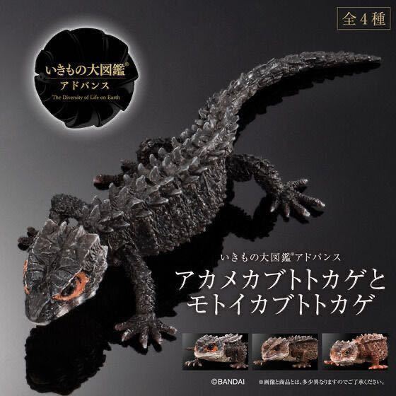 【新品未開封・ゆうパケット発送可】いきもの大図鑑アドバンス アカメカブトトカゲ(ダークブラウン)★プレミアムバンダイ限定☆黒蜥蜴_画像2