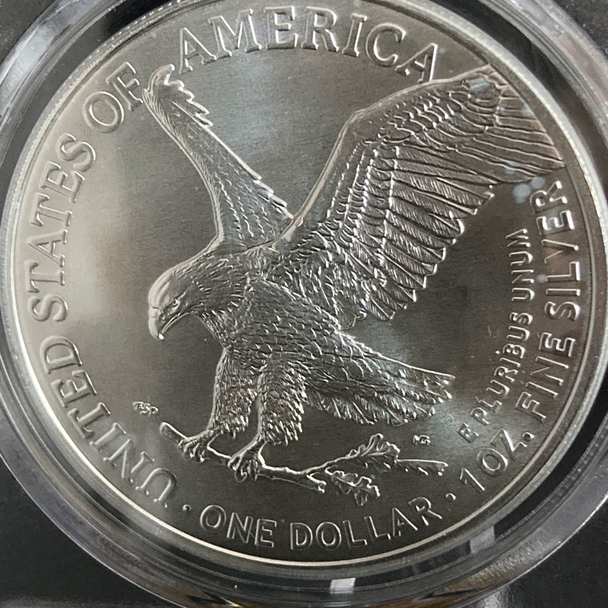 2021年 イーグル銀貨 タイプ1.2セット PCGS MS70 FDOI | contifarma.pe