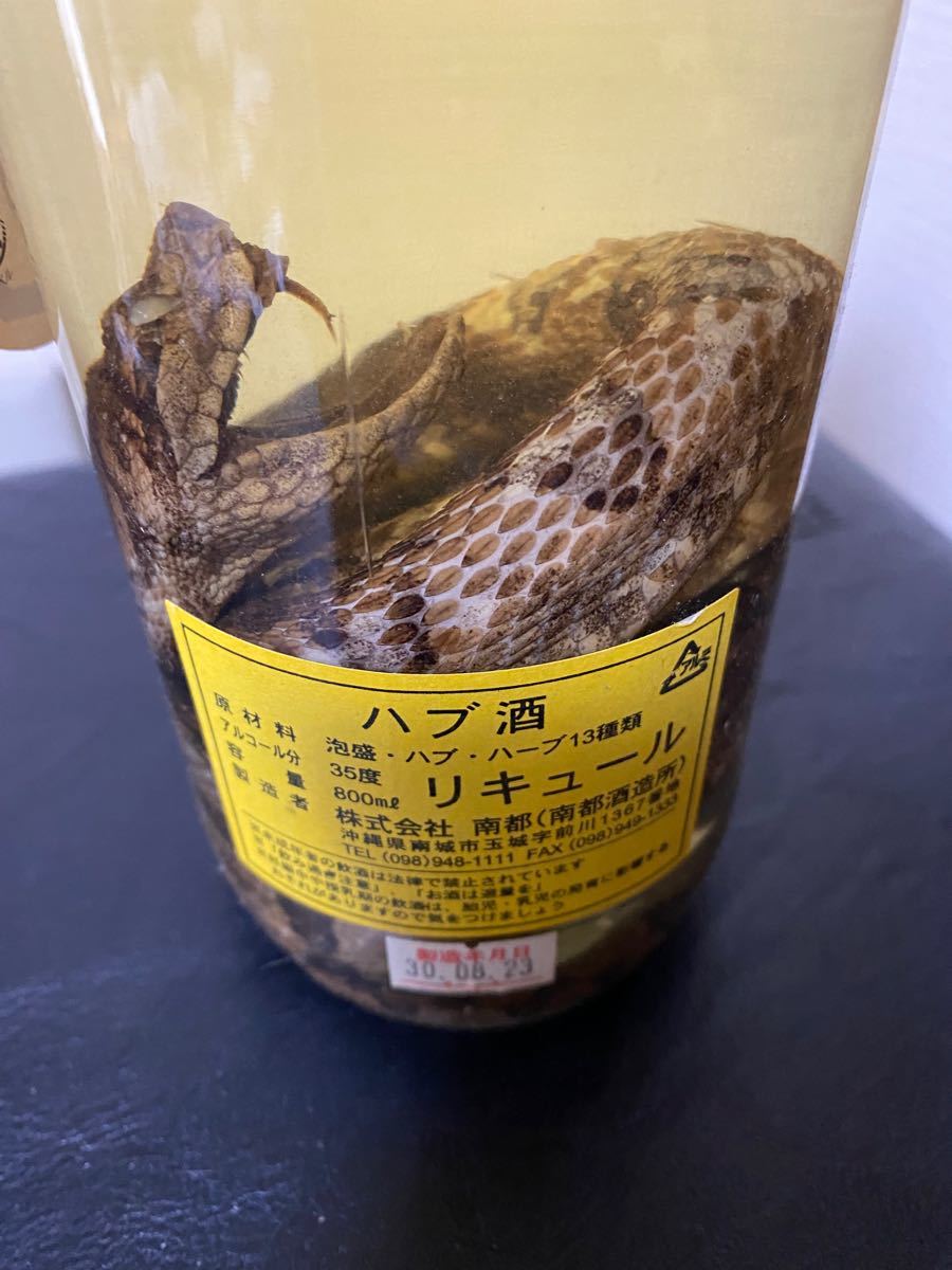売れ筋特価 森伊蔵 未開封 焼酎