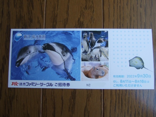 新江ノ島水族館 ご招待券 1～2枚 即決有 いラインアップ 1～2枚