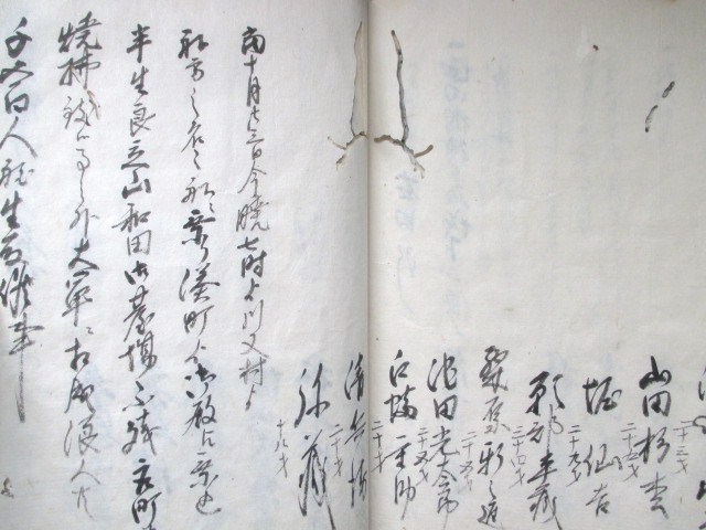 江戸幕末◇天狗党の乱記録・諸国浪人太平記◇元治2江戸幕府陸軍 江戸幕末◇天狗党の乱記録・諸国浪人太平記◇元治2江戸幕府陸軍