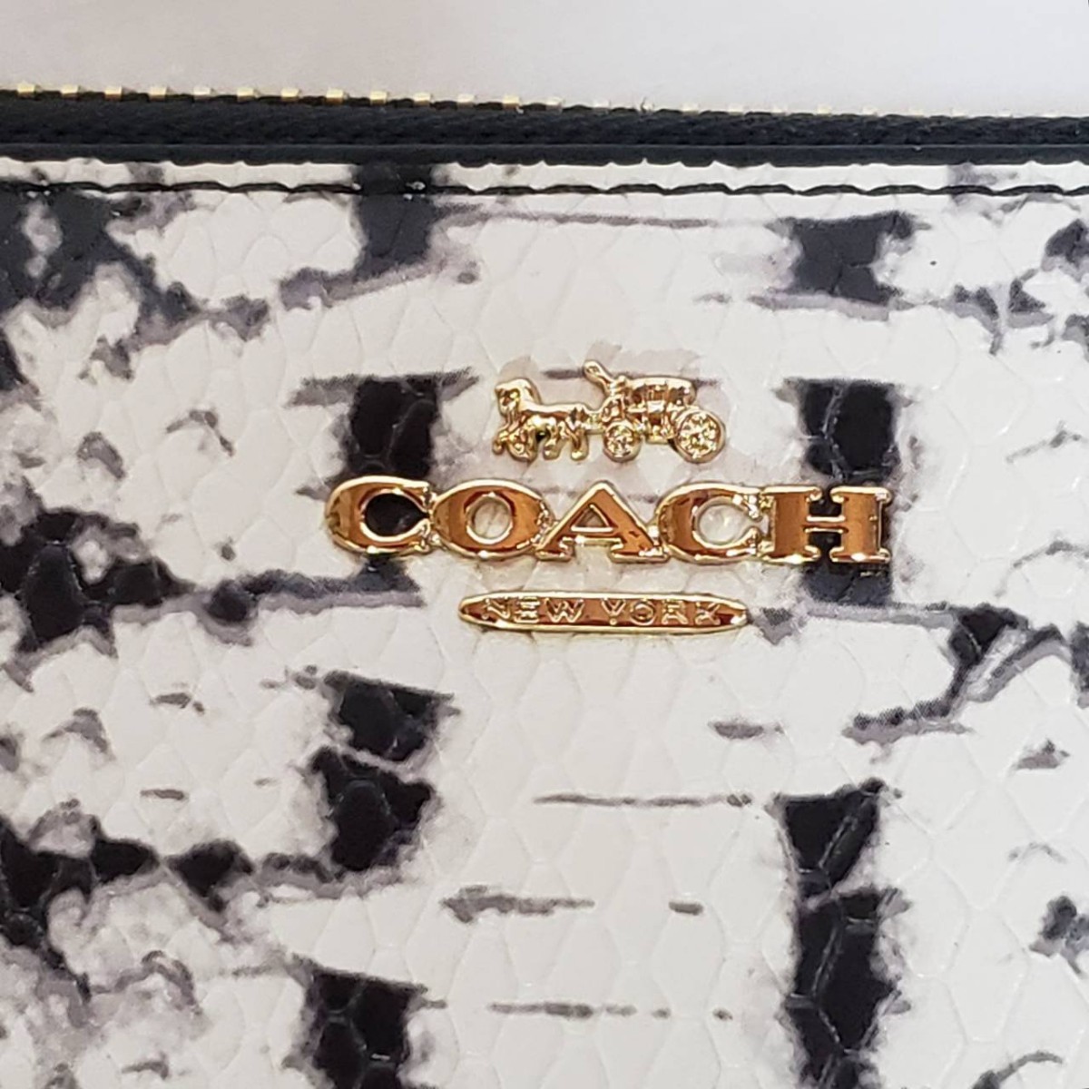 コーチ COACH パイソン スネーク ヘビ柄 長財布 F53659