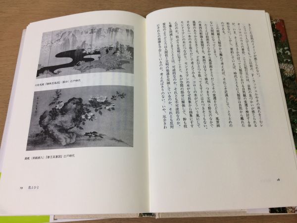 ●P033●花の宇宙誌●岩田慶治●花と風景の人類学原風景論●1990年2刷●青土社●即決_画像5