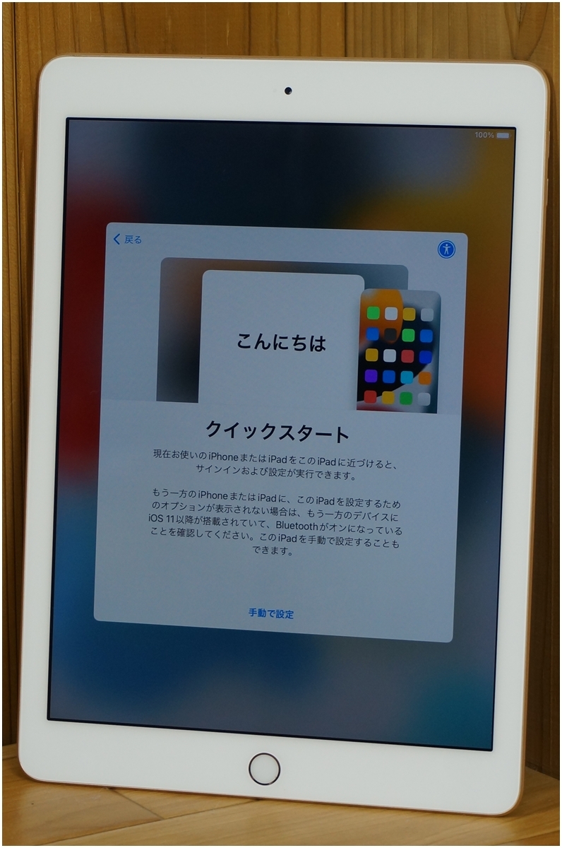 激安アウトレット!】 極美品 iPad 第6世代128GB Model:A1893