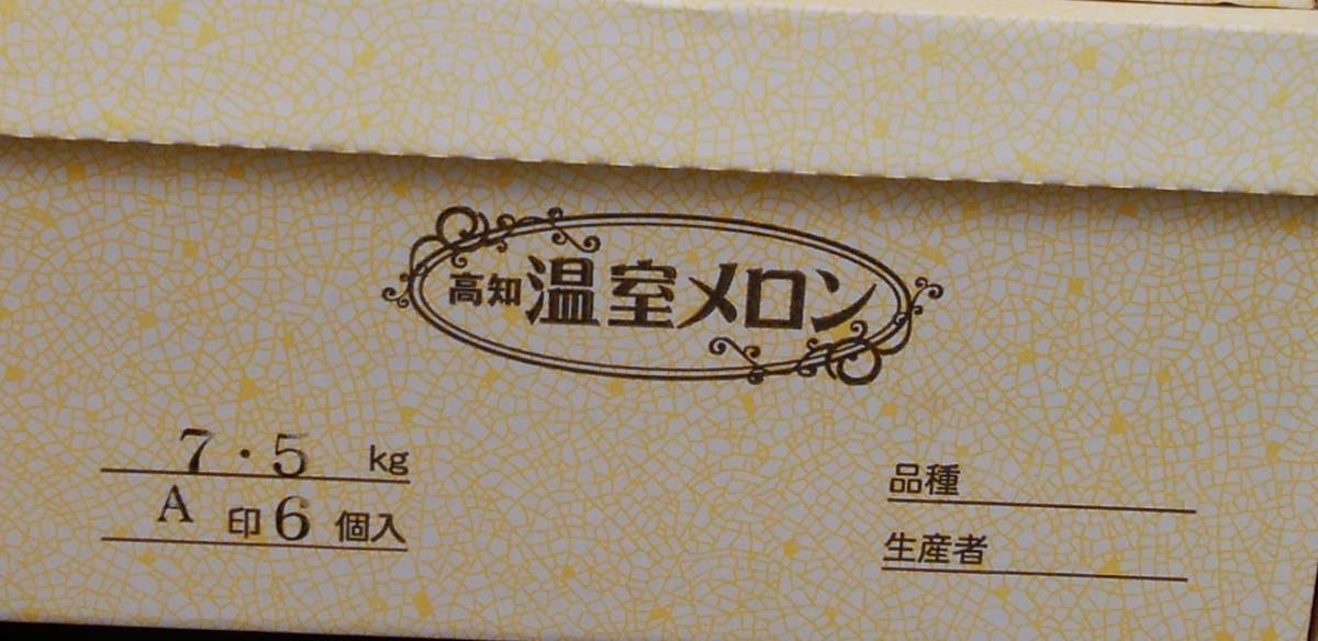 １円スタート！【高知県産】温室メロン　6玉　約7.5～7.6㎏　A　ご家庭用　☆ _画像4