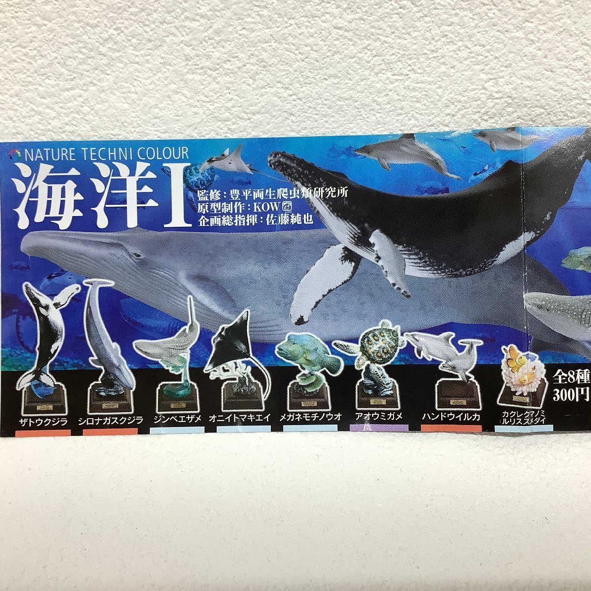 珍しい - Yahoo!オークション 奇譚クラブ 海洋1 ネイチャーテクニカラー 生き物