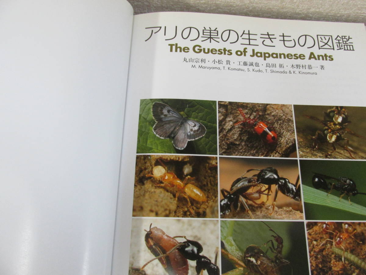 アリの巣の生きもの図鑑 = The Guests of Japanese An…-