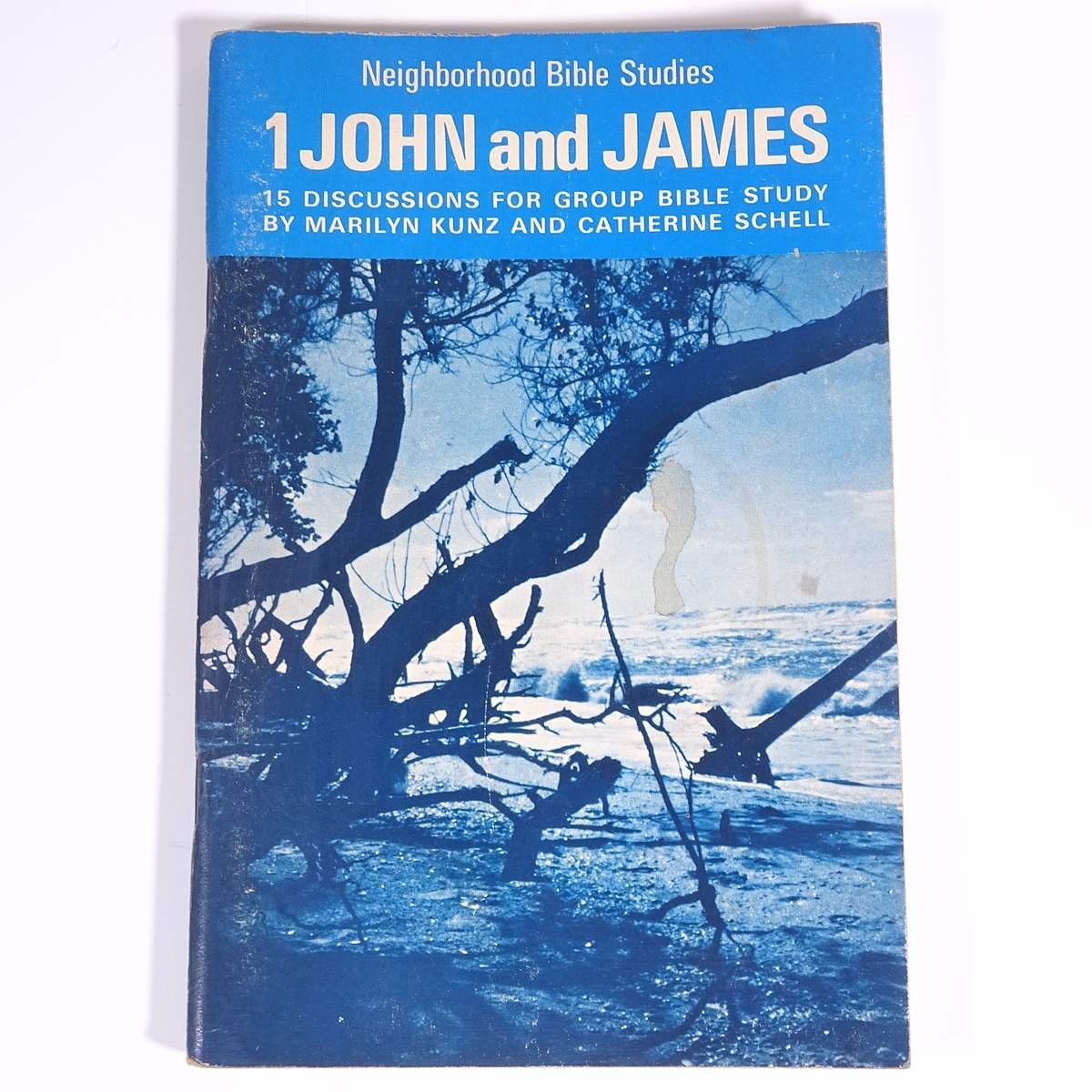 【英語洋書】 1 JOHN and JAMES ヨハネの手紙一 ヤコブの手紙 1977 小冊子 キリスト教 聖書研究_画像1