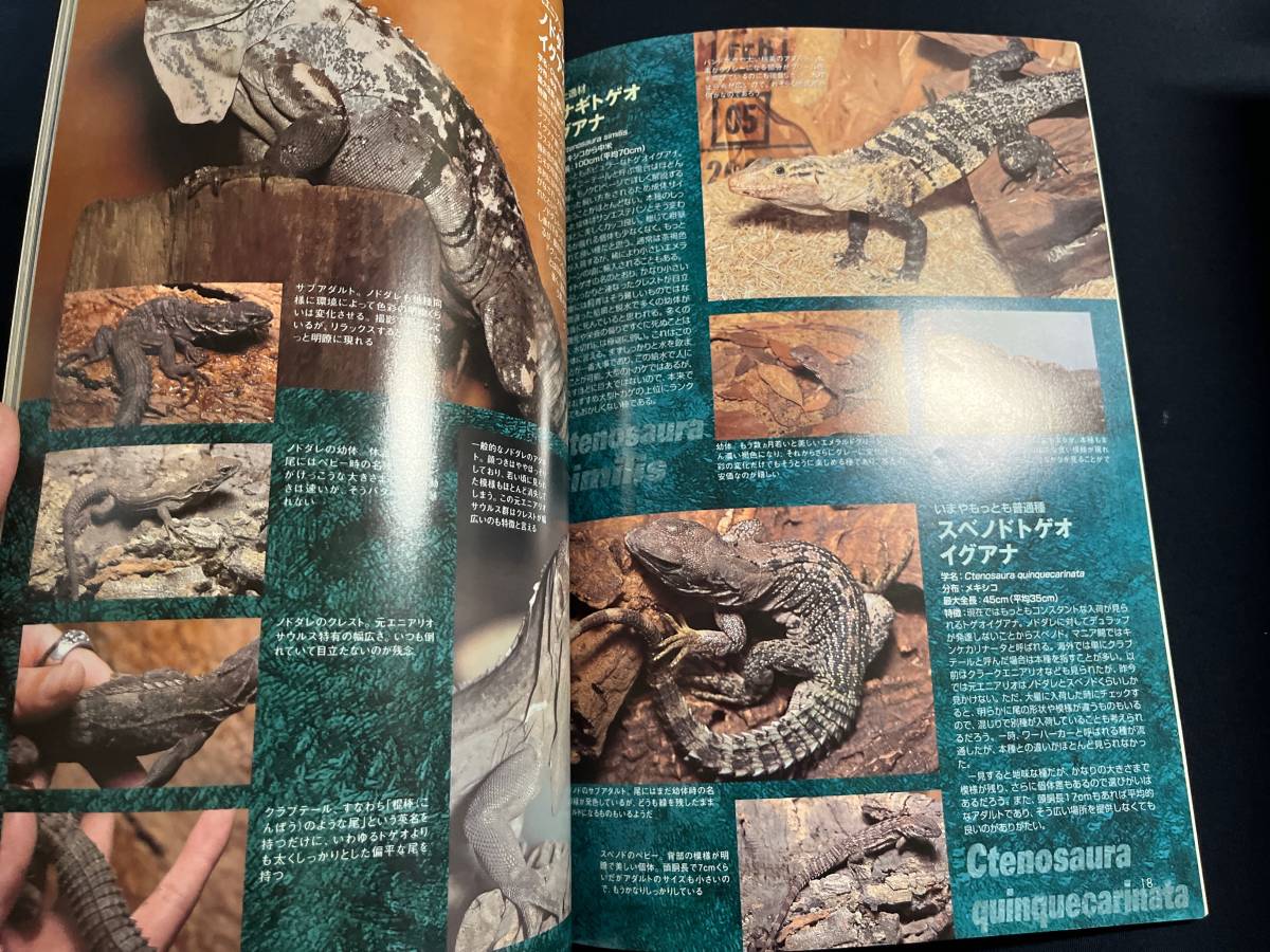 大きな取引 ビバリウムガイド No 36 ベトナムの自然と動物 フロリダ フィールドレポート 僕たちの好きなアメリカハコガメ 爬虫 両生類の飼育情報誌 Zamsgallery Com 大きな取引 ビバリウムガイド No 36 ベトナムの自然と動物 フロリダ フィールドレポート 僕たちの好きなアメリカハコガメ 爬虫 両生類の飼育情報誌 Zamsgallery Com