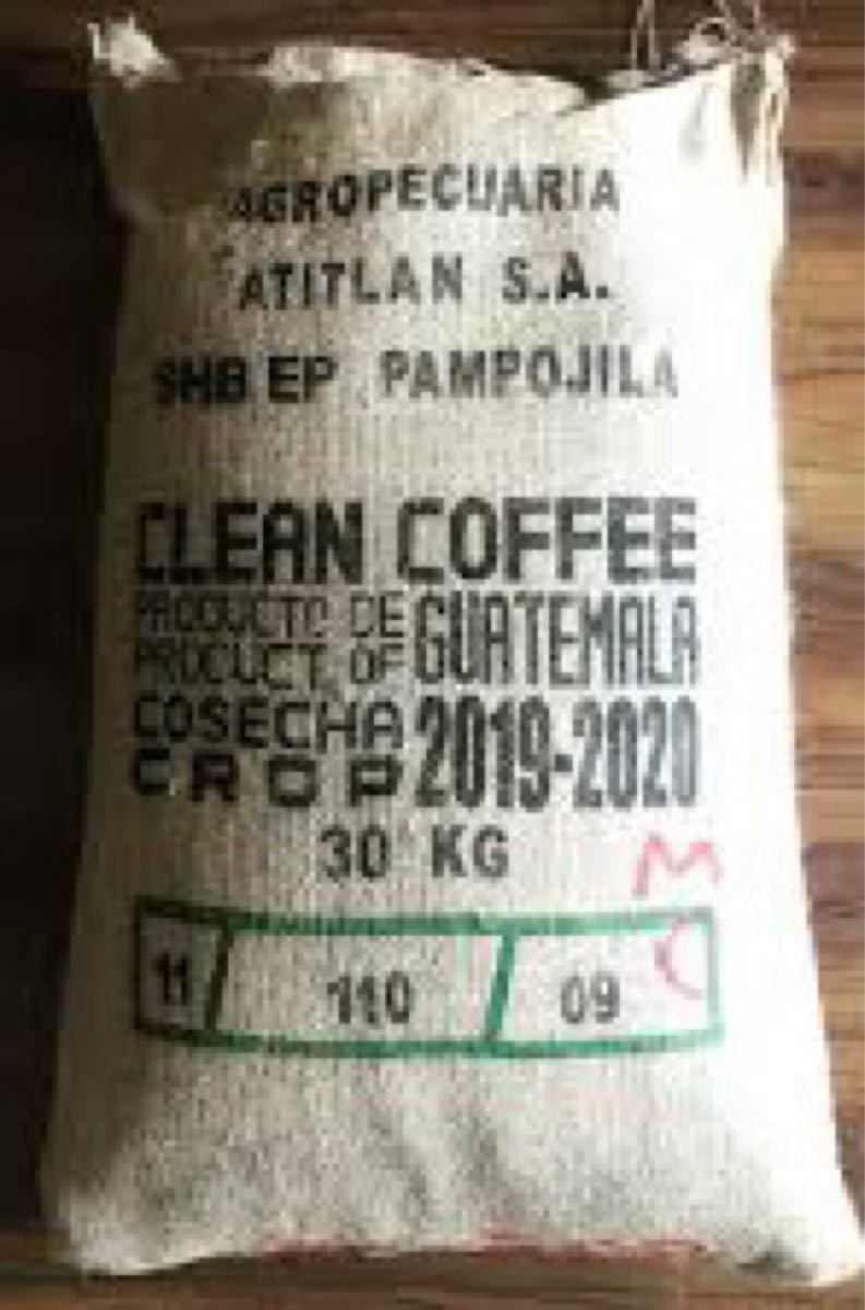 【コーヒー生豆】グアテマラ SHB　ウォッシュド  5kg　 ※送料無料