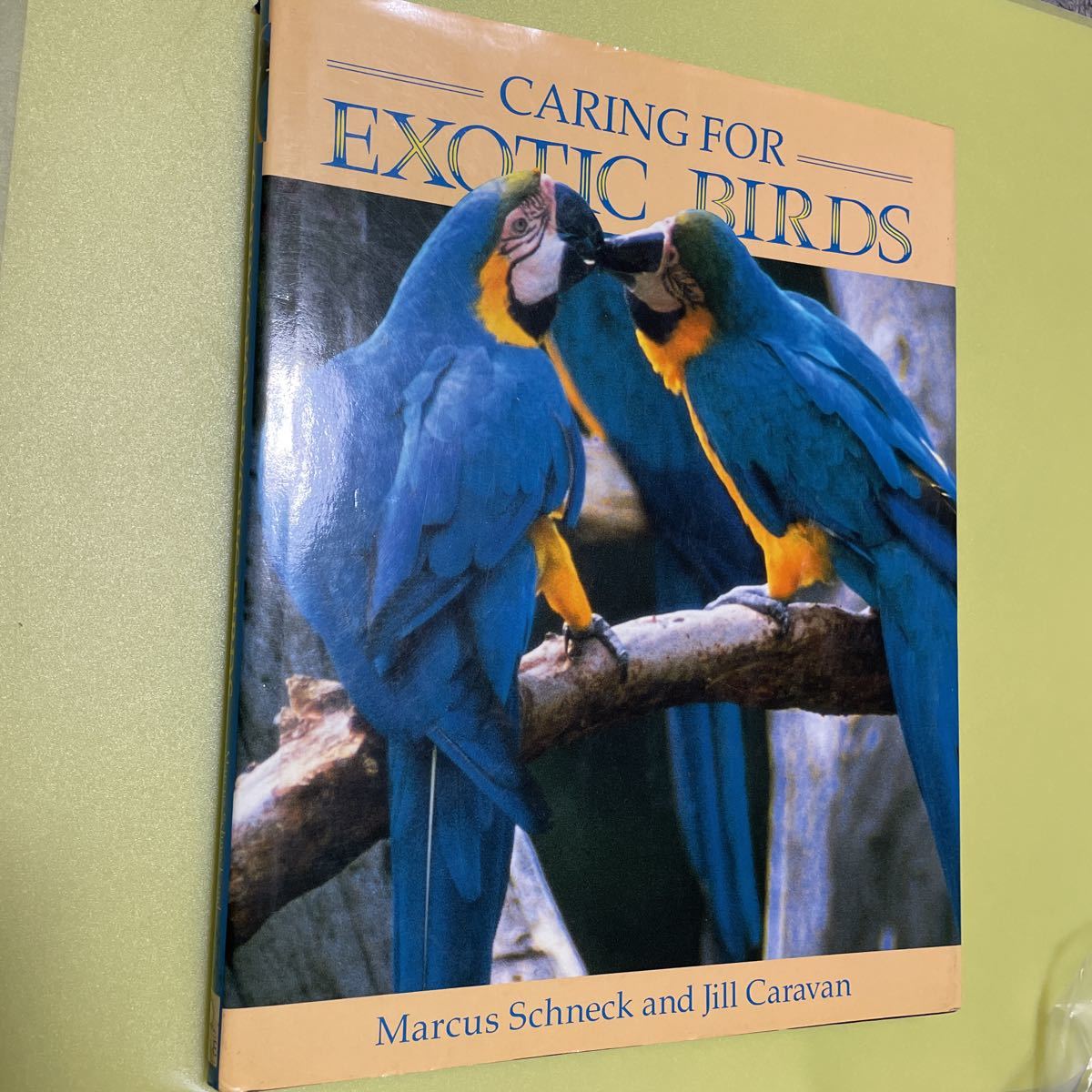 Bird English Book ухаживает за экзотическими птицами