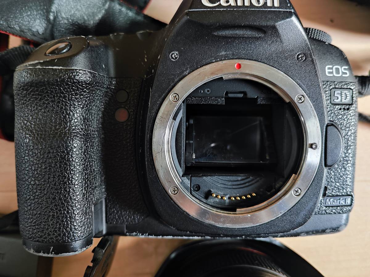 キャノン 一眼レフ フルサイズ5d Mark Ii Ef 24 105 L Is Usm Kit ジャンク品 元箱付 おまけ多数 キヤノン 売買されたオークション情報 Yahooの商品情報をアーカイブ公開 オークファン Aucfan Com キャノン 一眼レフ フルサイズ5d Mark Ii Ef 24 105 L Is Usm Kit ジャンク品 元箱付 おまけ多数 キヤノン 売買されたオークション情報 Yahooの商品情報をアーカイブ公開 オークファン Aucfan Com