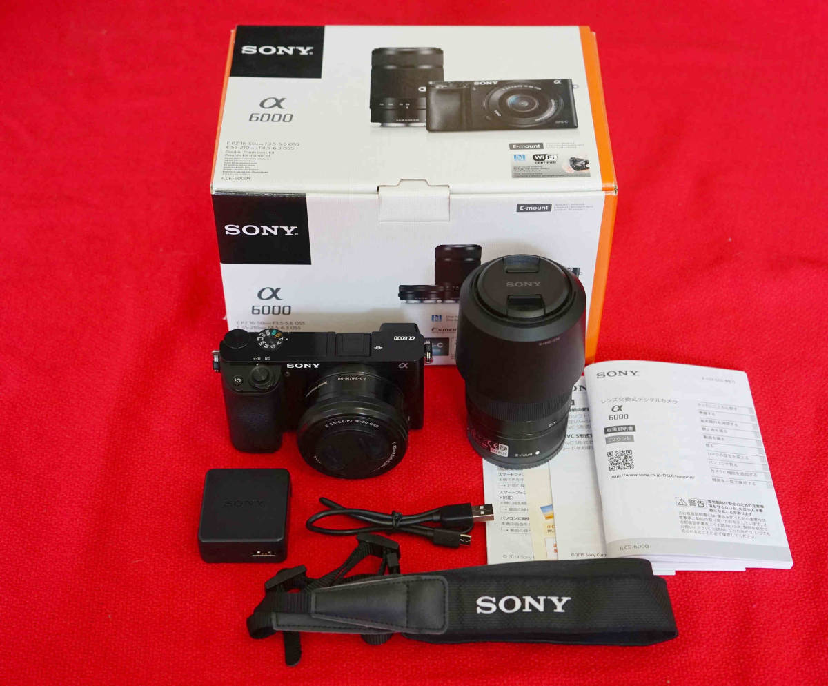 ソニー SONY α6000 ダブルズームレンズキット完動美品 | sweatreno.com