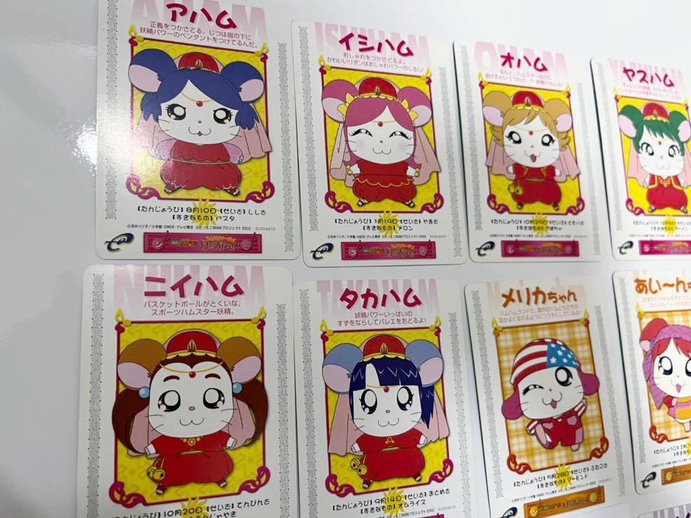 ハム太郎 eカード 幻のプリンセス 劇場限定 20枚セット GBA カードe 