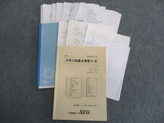 期間限定お試し価格】 SEG 大学入試基礎演習H-III(解説ノート付き