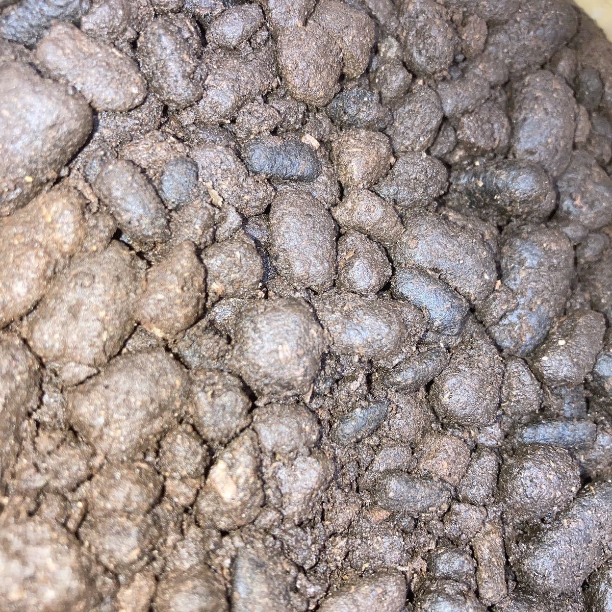Paypayフリマ 肥料 カブトムシ幼虫の糞 大量 約17kg Paypayフリマ 肥料 カブトムシ幼虫の糞 大量 約17kg