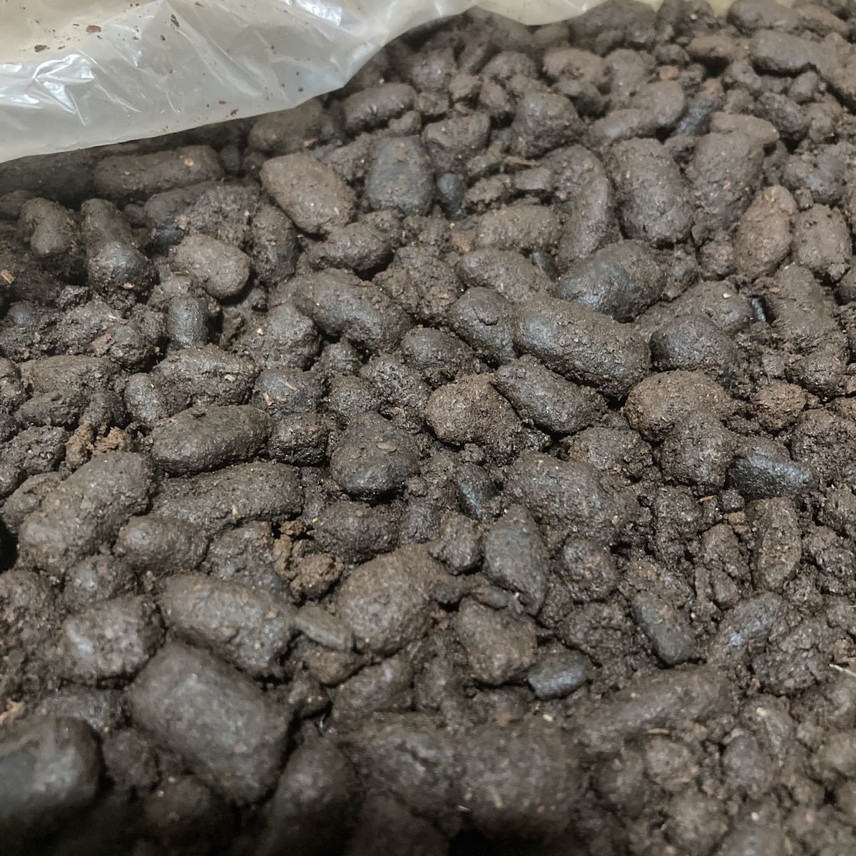 Paypayフリマ 肥料 カブトムシ幼虫の糞 大量 約17kg Paypayフリマ 肥料 カブトムシ幼虫の糞 大量 約17kg