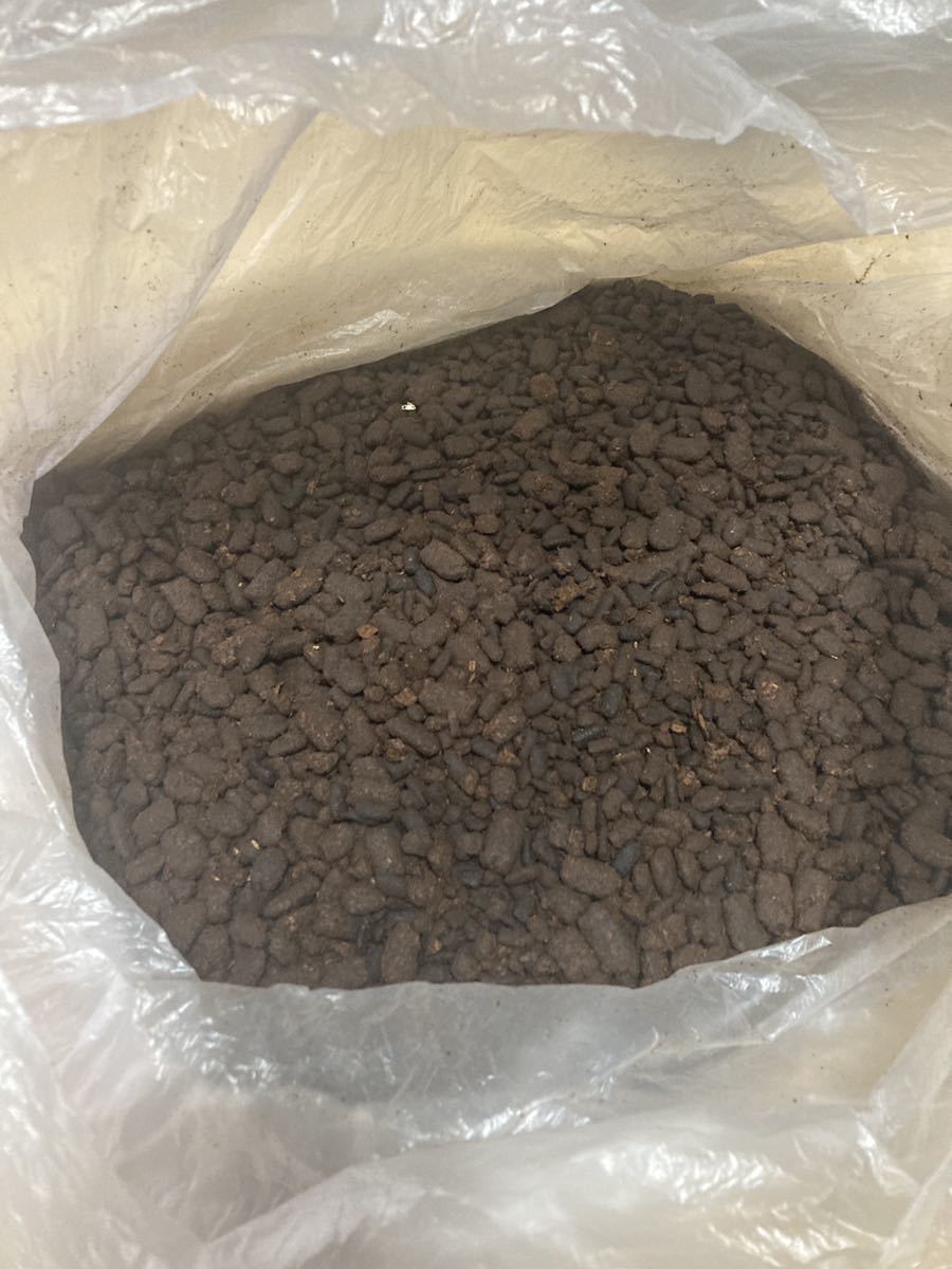 Paypayフリマ 肥料 カブトムシ幼虫の糞 大量 約17kg Paypayフリマ 肥料 カブトムシ幼虫の糞 大量 約17kg