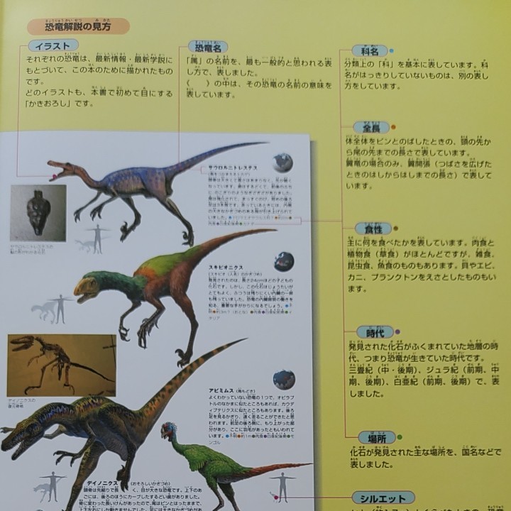 図鑑 小学館の図鑑NEO『恐竜』|Yahoo!フリマ(旧PayPayフリマ) 図鑑 小学館の図鑑NEO『恐竜』|Yahoo!フリマ(旧PayPayフリマ)